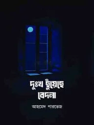 দুঃখ ছুঁয়েছে বেদনা