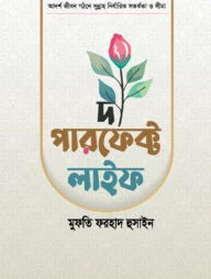দ্য পারফেক্ট লাইফ