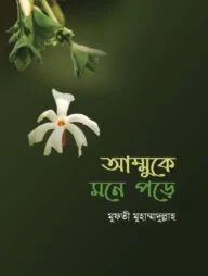আম্মুকে মনে পড়ে