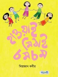 হাওয়াই মিঠাই চমচম