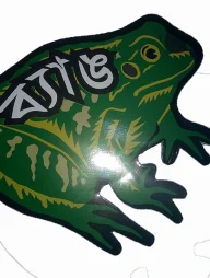 ব্যাঙ
