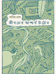 জীবনের আশ্চর্য উঠোন