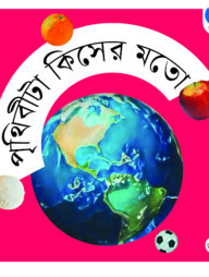 পৃথিবীটা কিসের মতো