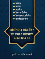 তাবলিগের কাজ কি ছয় নাম্বার