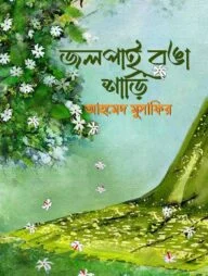 জলপাই রঙা শাড়ি