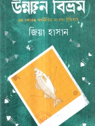 উন্নয়ন বিভ্রম