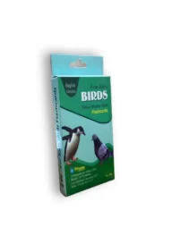 Birds Flashcards English Version